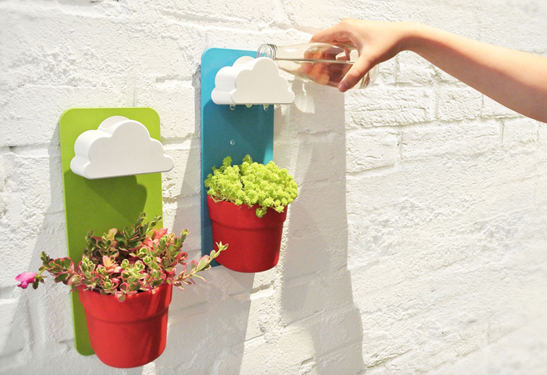 彻底告别植物杀手,告别植物杀手