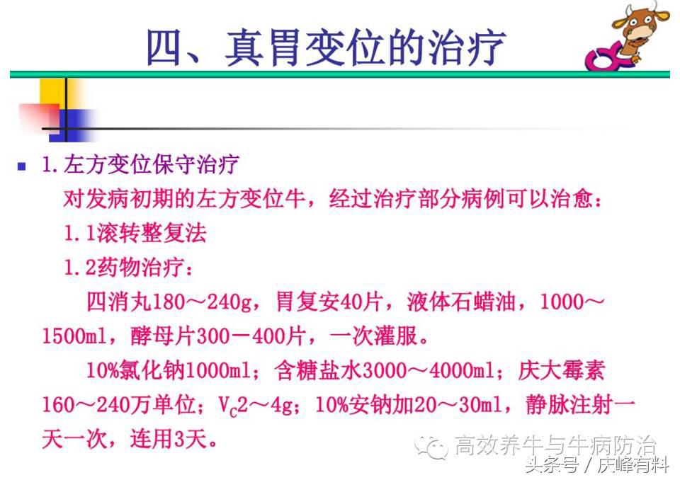 奶牛真胃扩张的症状治疗方法,奶牛皱胃左方变位治疗方法