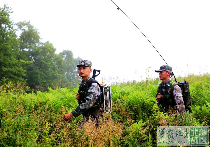 兵王一级军士长级别,中国兵王一级军士长