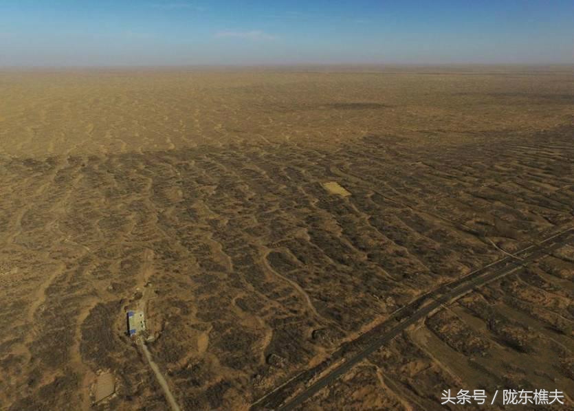 父子绿化沙漠,坚守独腿夫妻沙漠种出30万棵树