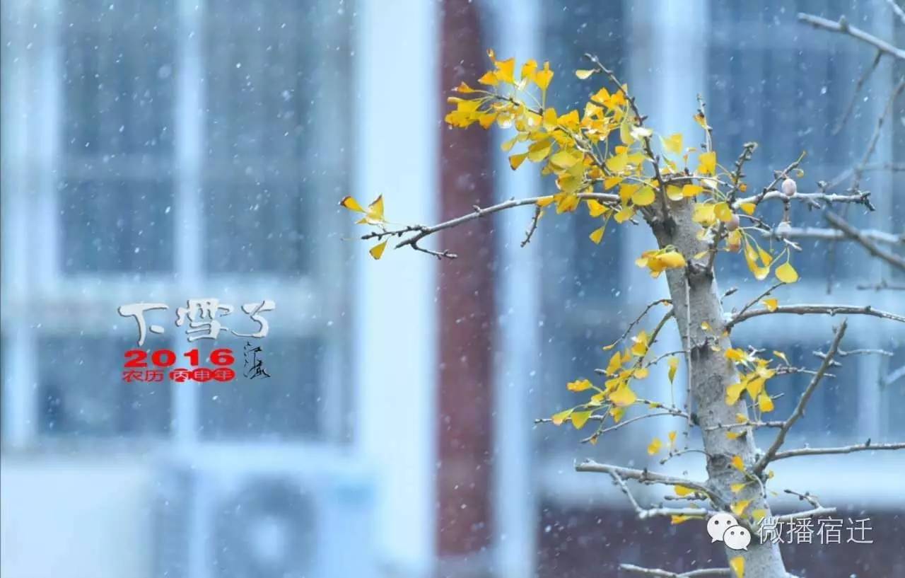 雪中宿迁，素颜都美到窒息！