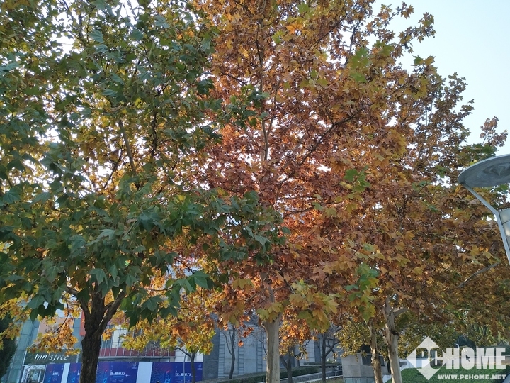 vivox系列前置拍照效果,vivos17pro前置柔光灯