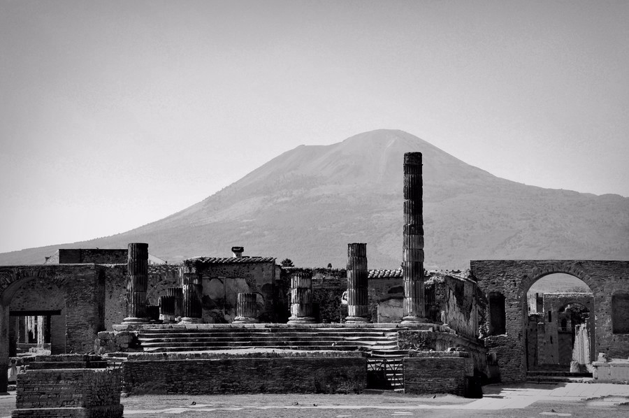 每天给你带来精彩的好书推荐,推荐一本有价值的好书