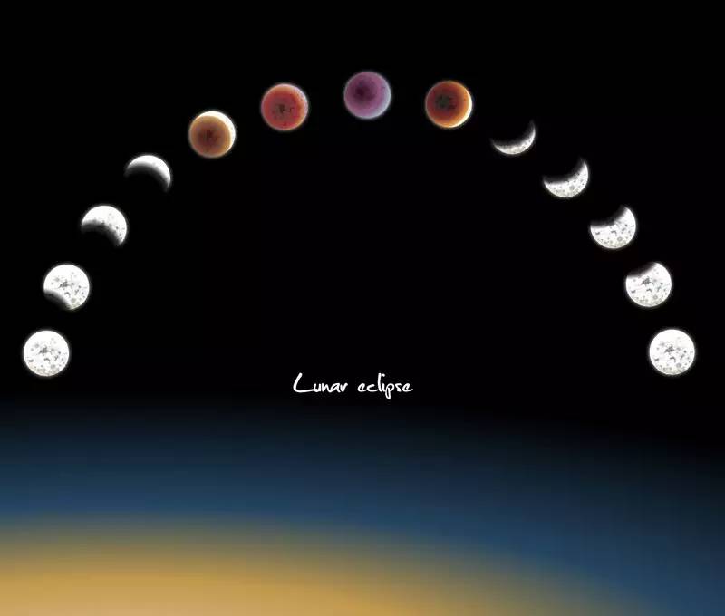 「天空下X074期」他是独立艺术家，绘本漫画家，更是个超级梦想家——黑荔枝！