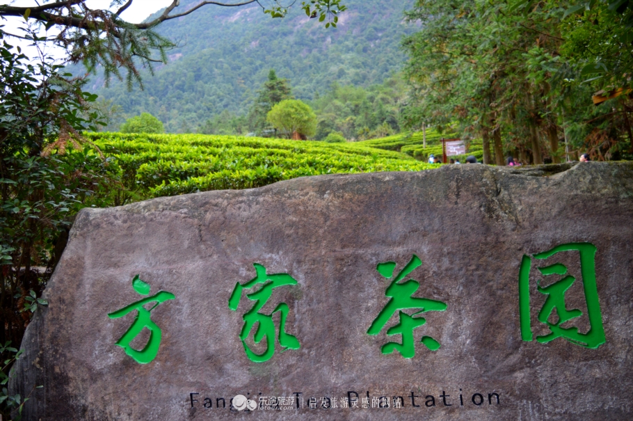 广西贺州姑婆山之景,贺州姑婆山云中仙境