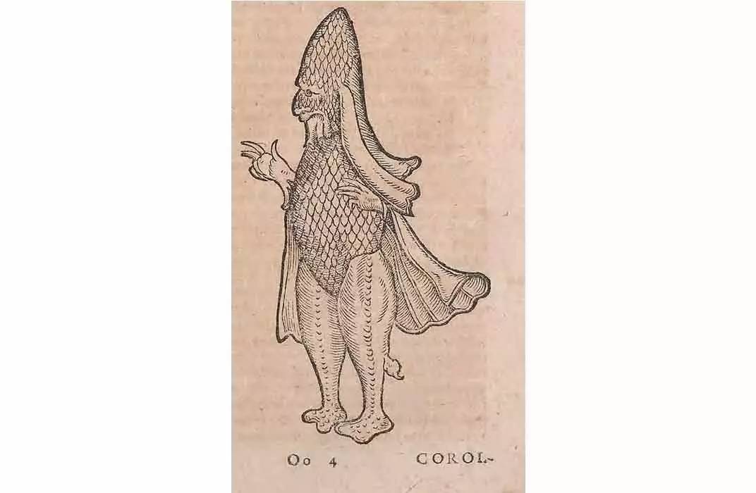 恐怖故事海和尚,海怪的恐怖故事