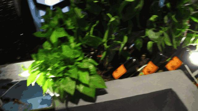 应季美食：lucysKitchen新菜品，还有超值套餐，你动心了吗