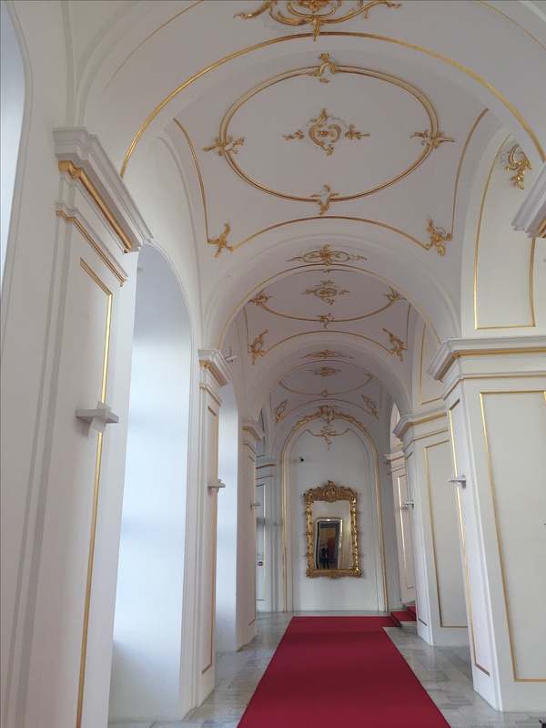 豆瓣日记momo,豆瓣日记茉莉