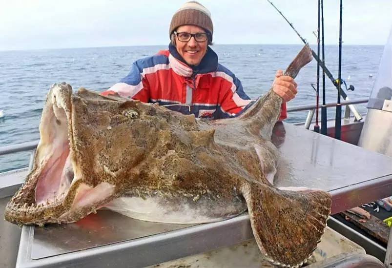 恐怖故事海和尚,海怪的恐怖故事