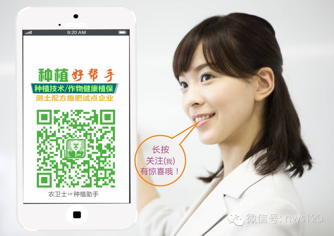 今日钾肥最新价格和后期分析,最新钾肥价格走势图表