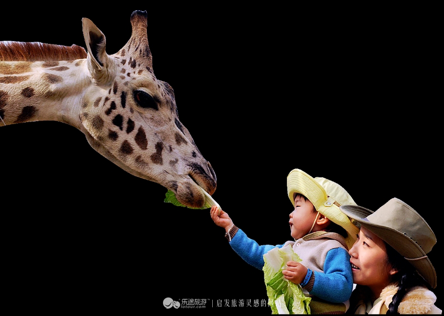 韩国值得逛的地方,韩国京畿道打卡必去的地方