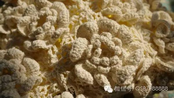 带玫瑰的包包牌子叫什么,复古玫瑰大容量包包