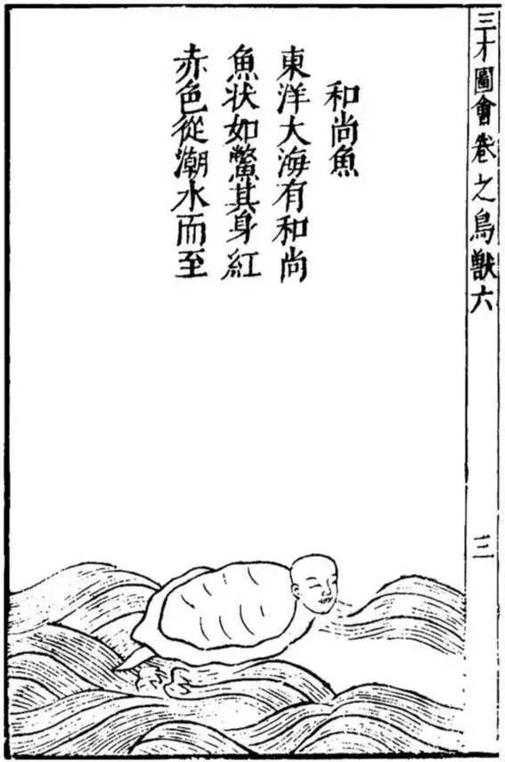 恐怖故事海和尚,海怪的恐怖故事