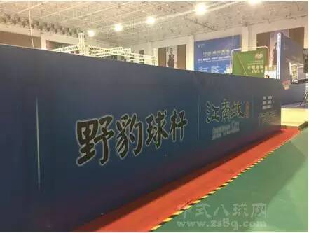 野豹球杆准神推荐,野豹哪个球杆打中八最好