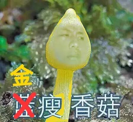 热点丨到底是蓝黑还是白金？一双拖鞋，快让全世界人民打起来了！