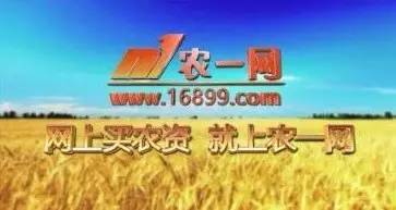 跨境电商模式可以分为哪几类,电商直播模式解析