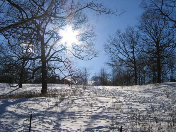 「诗词鉴赏」看冬日圆月赏最美诗词