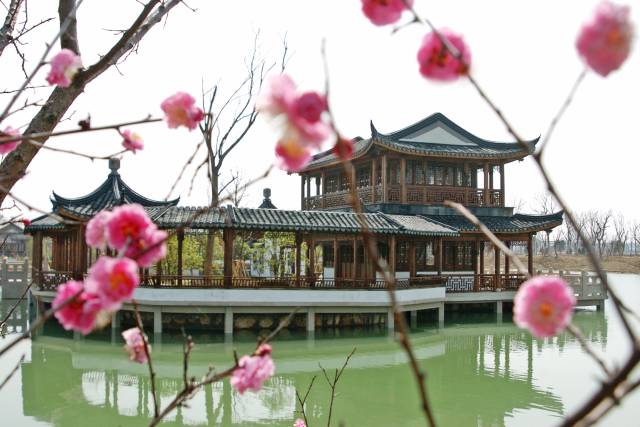 金秋十月，卡卡带你去秋游！一起去沙家浜度假！10个免费名额等你拿！