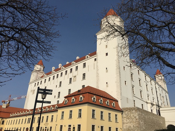 豆瓣日记momo,豆瓣日记茉莉