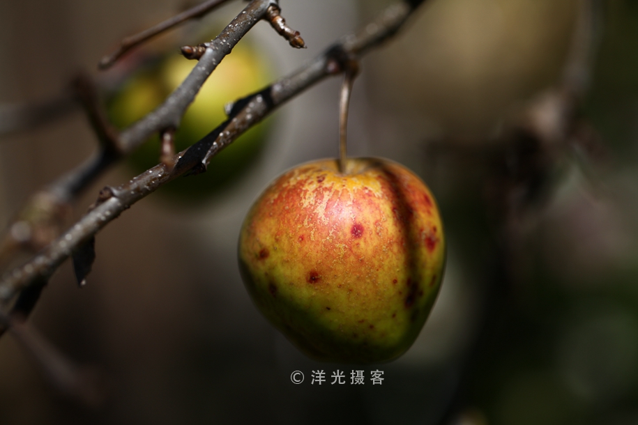 这个民族的祖先因战败被迫流离失所，却创造出世界上独一无二奇迹