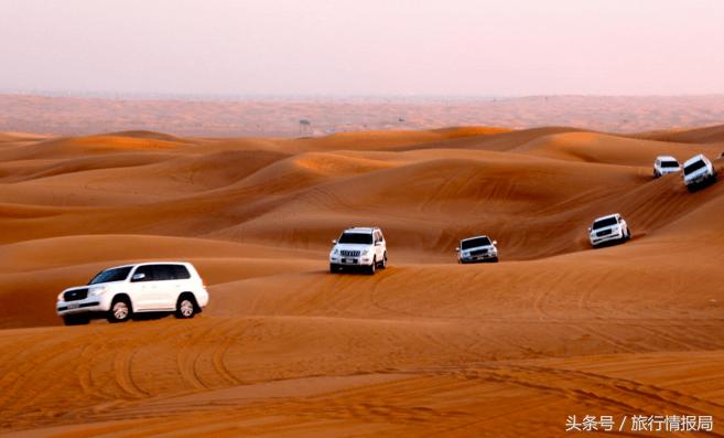 关于迪拜你不知道的15件事,迪拜你不知道的事儿
