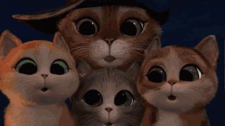 如何分辨原单和跟单的区别,外贸原单正品尾货如何鉴别