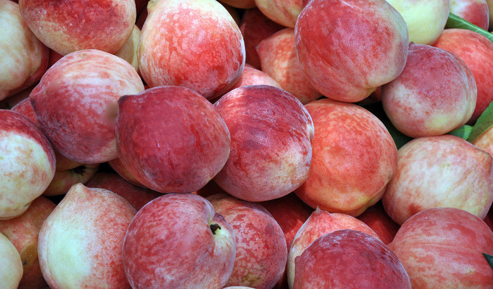 想要一生不得癌症有什么建议,想要不得病要控制情绪