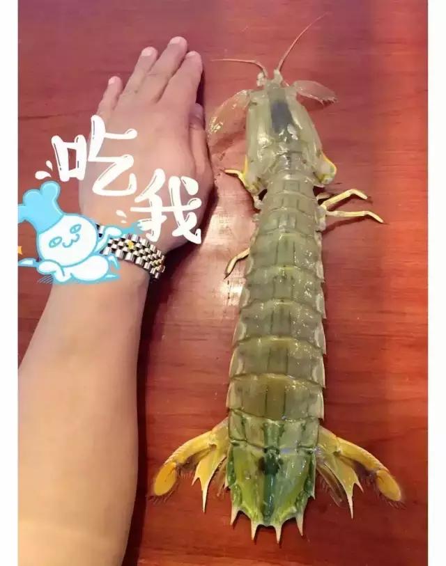 湘潭这家缅甸风情的小店，俘获了无数美女吃货的心！