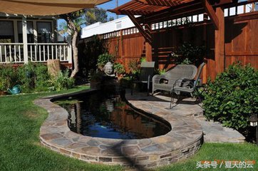 锦鲤在多少温度下停止喂食,温度低会影响锦鲤的颜色吗