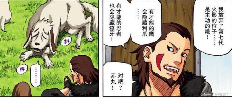 火影忍者木叶三忍谁历害,木叶十二忍中了幻术