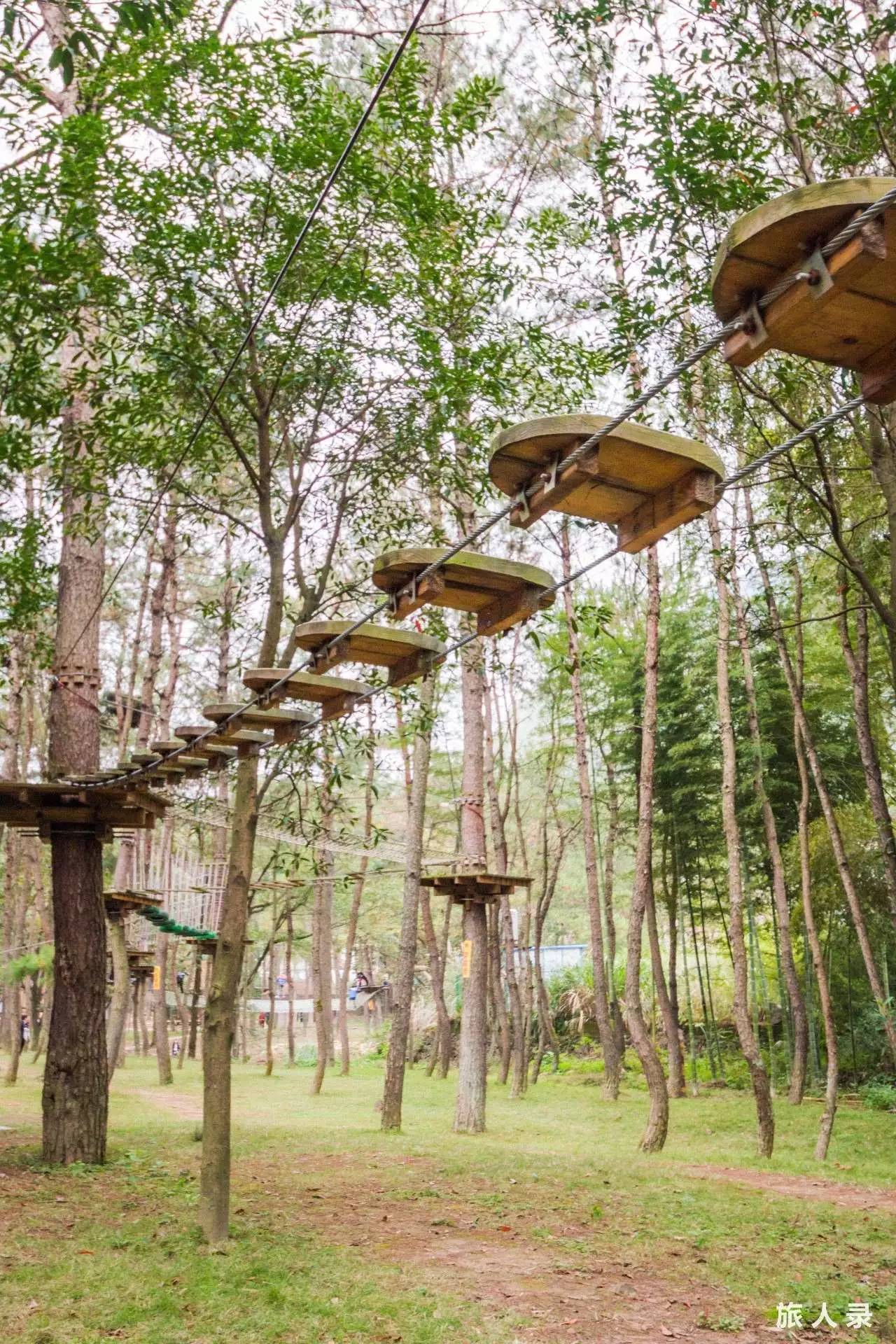 永嘉书院之行,楠溪江永嘉书院