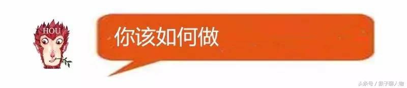 没流量如何推广产品,没有团队如何快速推广产品