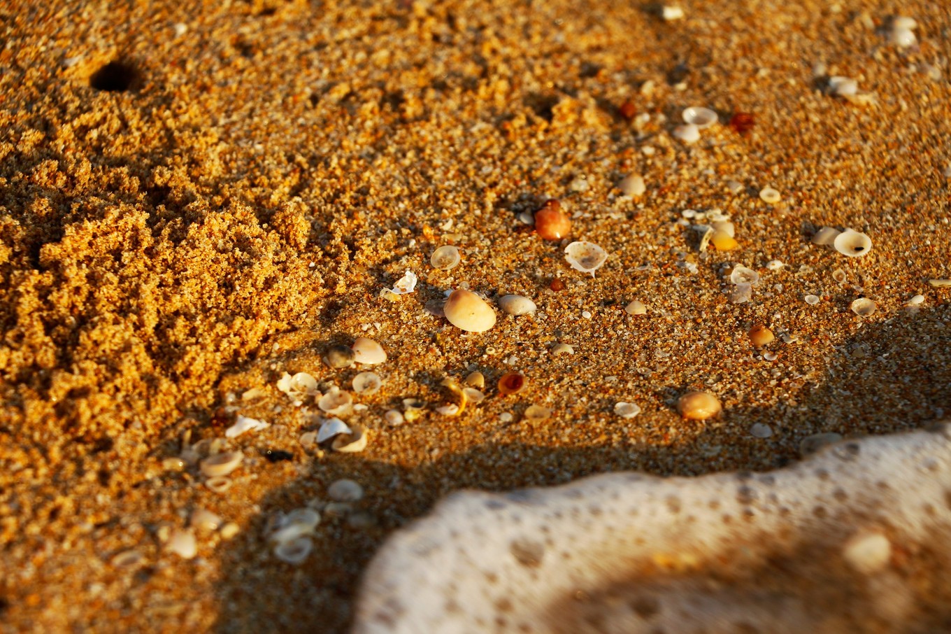 说走就走的三亚行,一场说走就走的三亚之旅