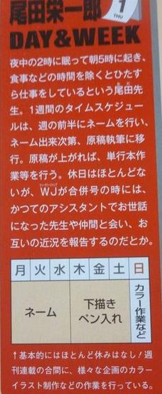 尾田荣一郎海贼王的诞生,尾田荣一郎宝可梦