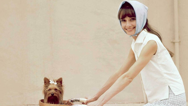 实用简单的ps软件,ps不会还能用什么软件