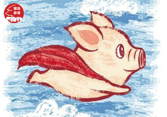 丁磊养猪模式,养猪大户丁磊现在在哪