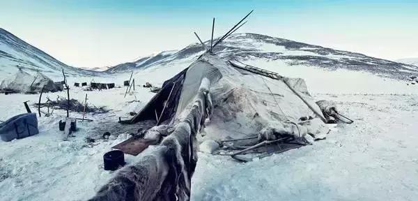 哈士奇犬的缺点和优点秒懂,哈士奇是狗界最出名的犬种吗