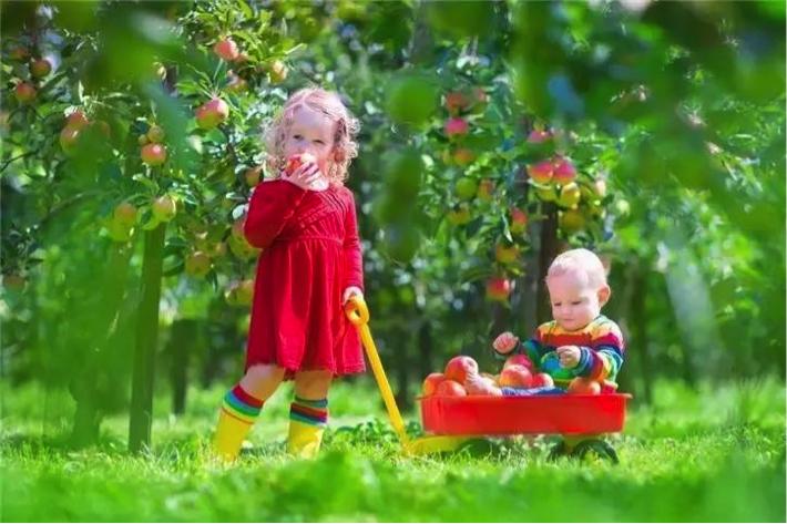 看是否能生二胎测试,测试什么时候生二胎