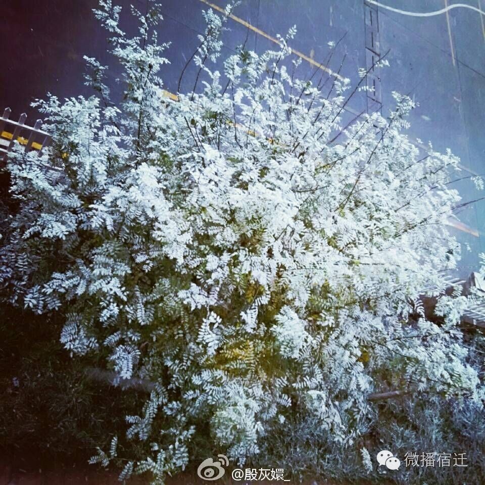 雪中宿迁，素颜都美到窒息！