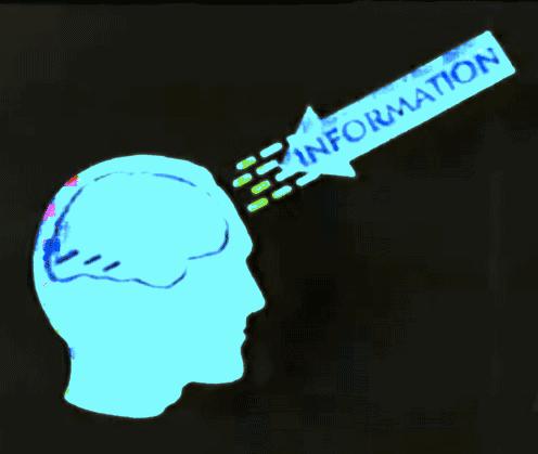 蓝黑白金到底是什么颜色,白金和蓝黑之争