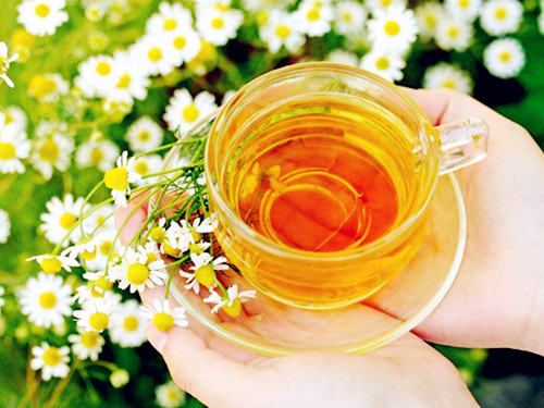 枸杞子菊花茶泡水喝的功效与禁忌,胖大海罗汉果菊花茶的功效与作用