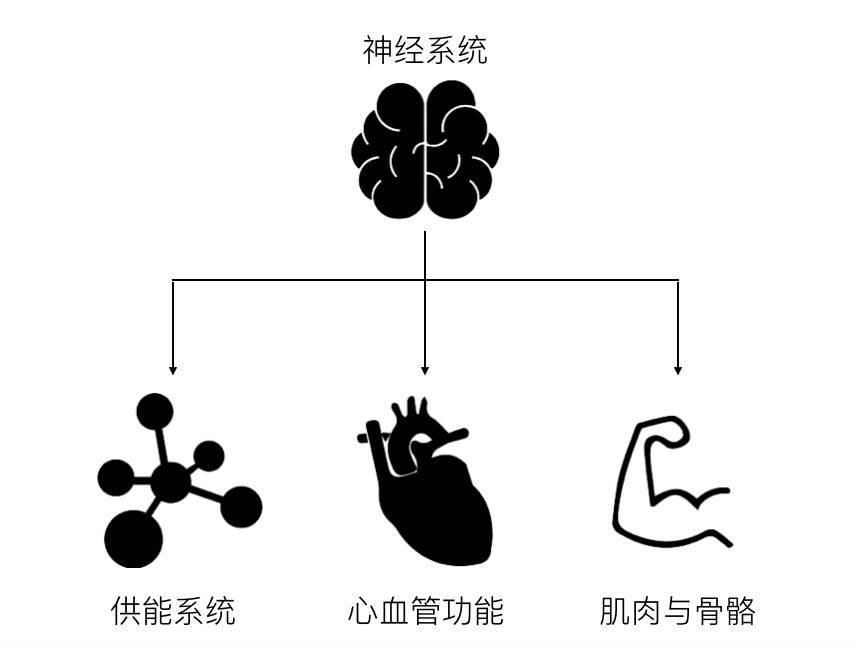 学生党体测1000米穿什么鞋,800米体测速成版快速提分轻松跑完