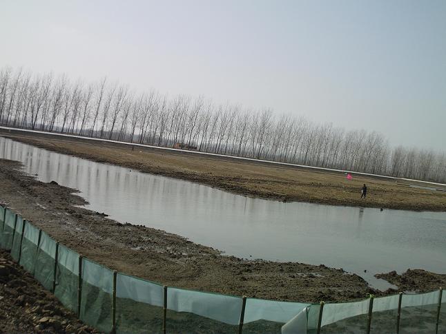 一亩池塘一年能赚多少钱,一亩鱼塘赚一万元