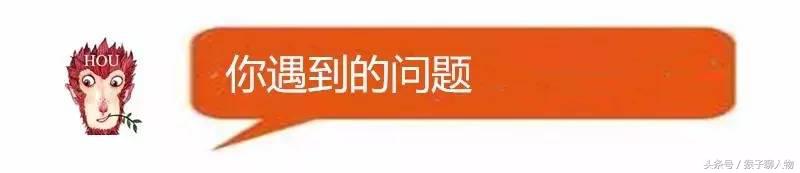 没流量如何推广产品,没有团队如何快速推广产品