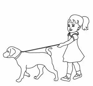 养宠物的正确方法和注意事项,养宠物的最佳方法和注意事项