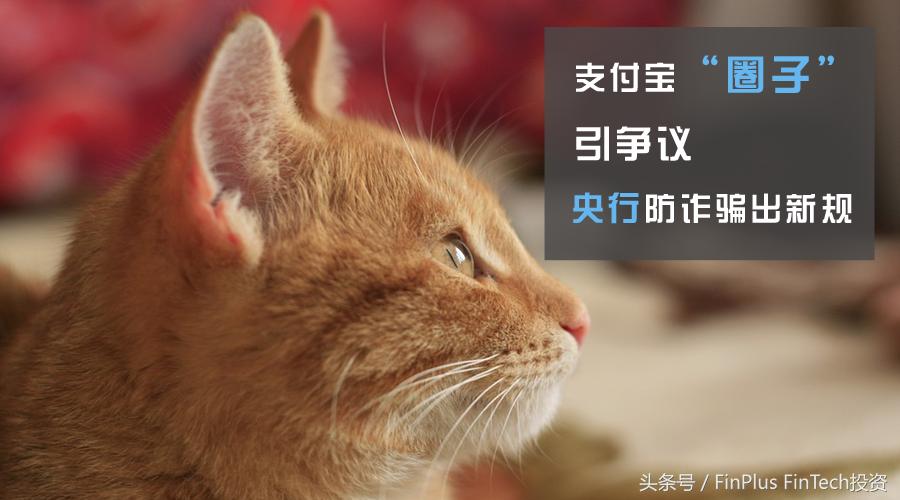 支付宝支付说谨防诈骗,为什么支付宝提示警惕诈骗