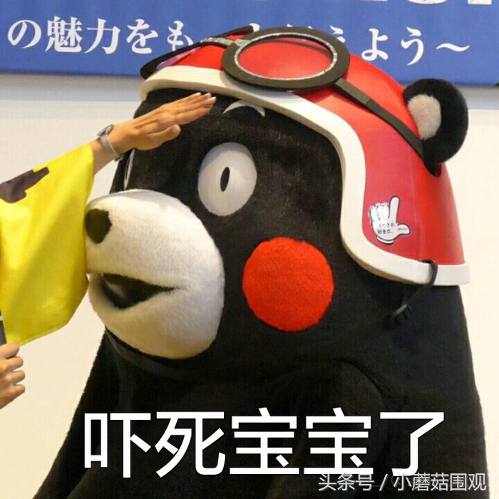 海淘奶粉为何更便宜,哪国奶粉最好