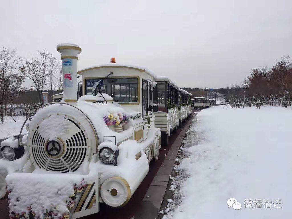 雪中宿迁，素颜都美到窒息！