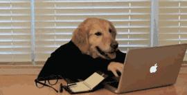 vivo为什么叫厂妹机,oppo和vivo到底谁才是厂妹专用机