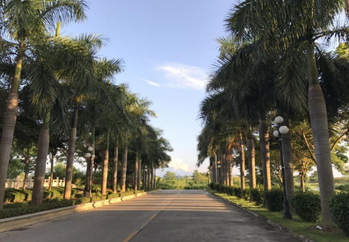 金三角从地狱到天堂的蜕变,金三角的经历